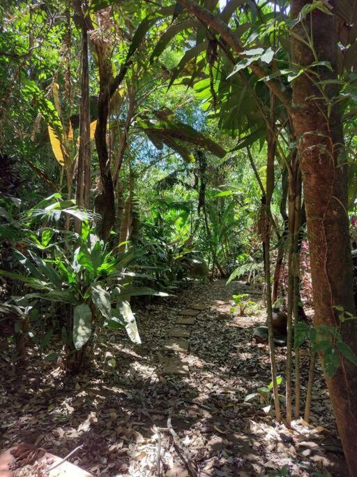 Cabana En Alajuela En Lugar Tranquilo Y Con Mucha Naturaleza. Tambor  Exteriér fotografie