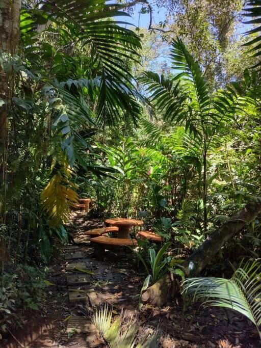 Cabana En Alajuela En Lugar Tranquilo Y Con Mucha Naturaleza. Tambor  Exteriér fotografie