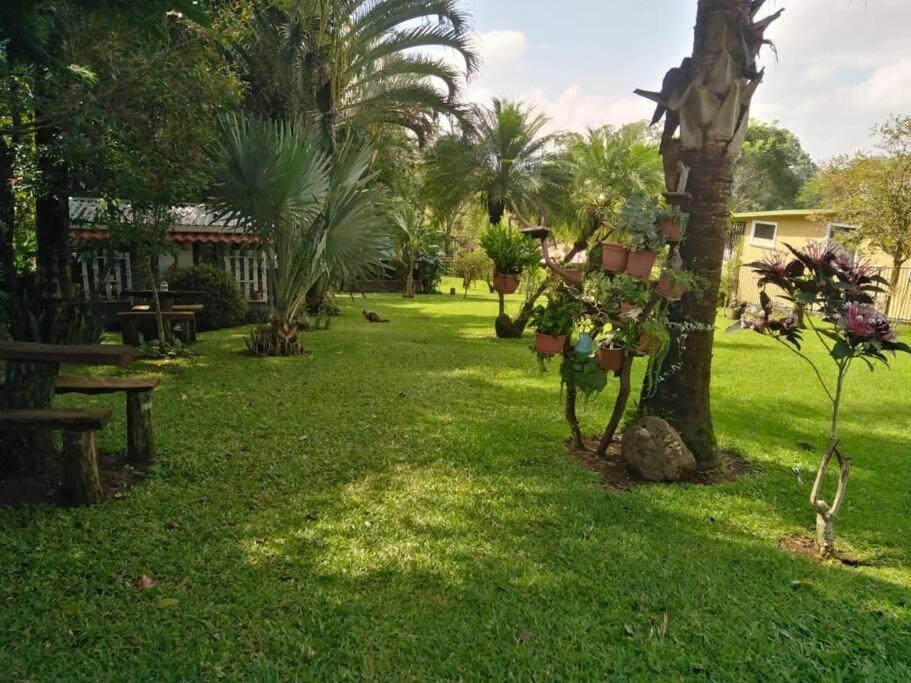 Cabana En Alajuela En Lugar Tranquilo Y Con Mucha Naturaleza. Tambor  Exteriér fotografie