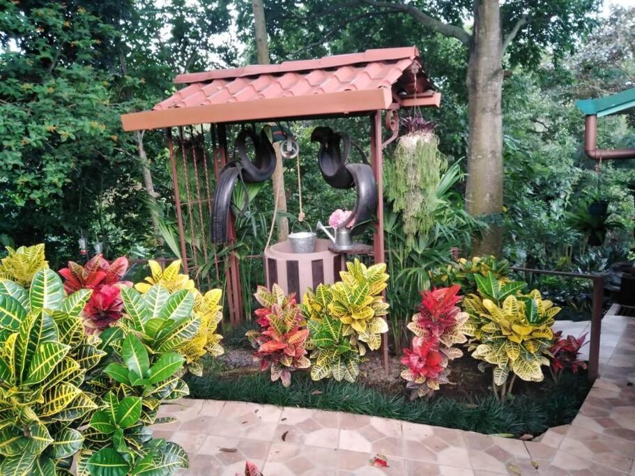 Cabana En Alajuela En Lugar Tranquilo Y Con Mucha Naturaleza. Tambor  Exteriér fotografie