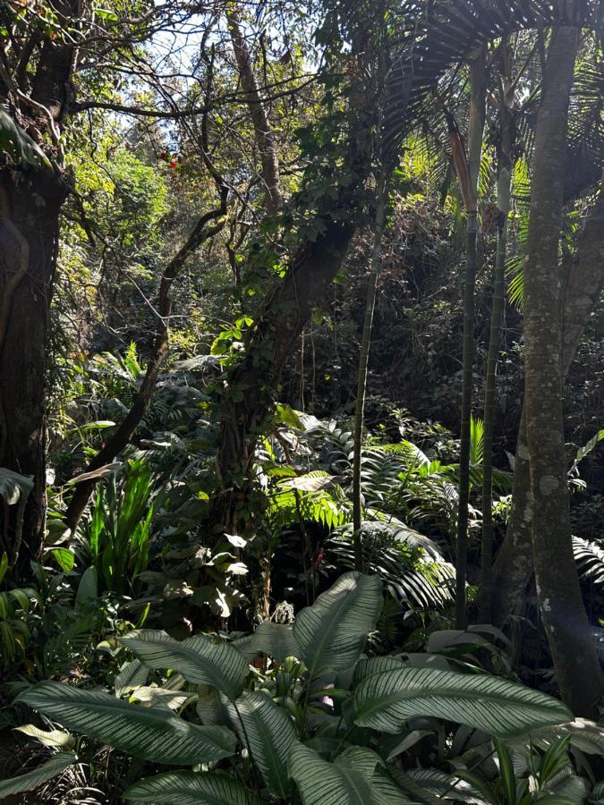 Cabana En Alajuela En Lugar Tranquilo Y Con Mucha Naturaleza. Tambor  Exteriér fotografie