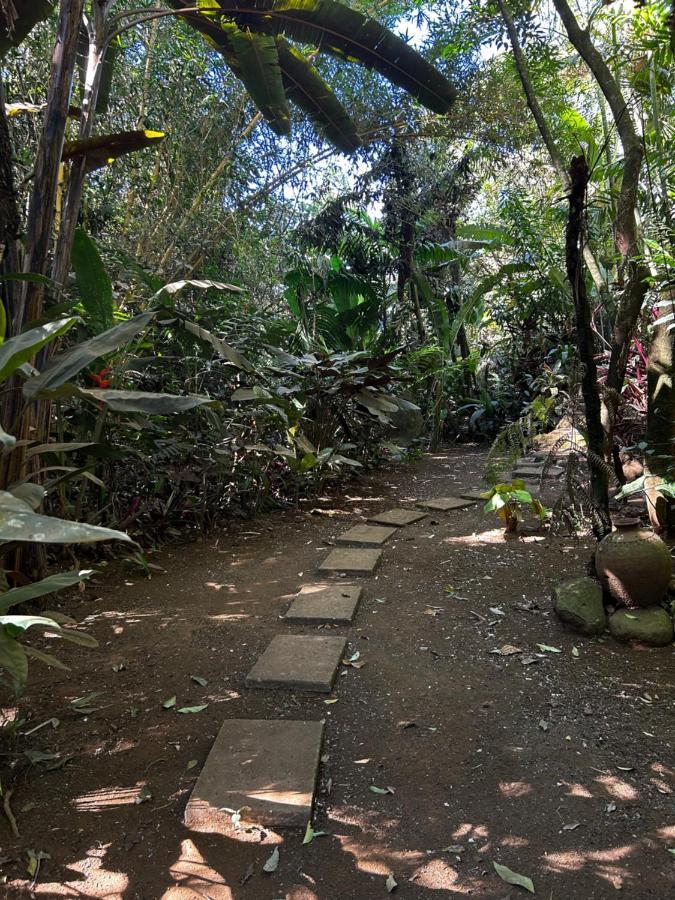 Cabana En Alajuela En Lugar Tranquilo Y Con Mucha Naturaleza. Tambor  Exteriér fotografie