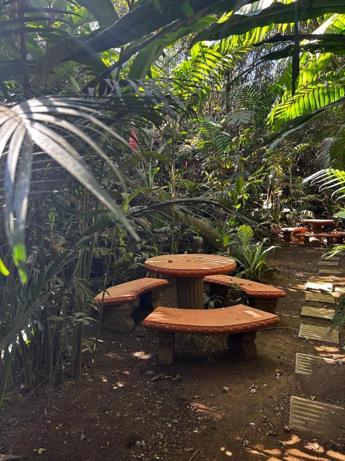 Cabana En Alajuela En Lugar Tranquilo Y Con Mucha Naturaleza. Tambor  Exteriér fotografie