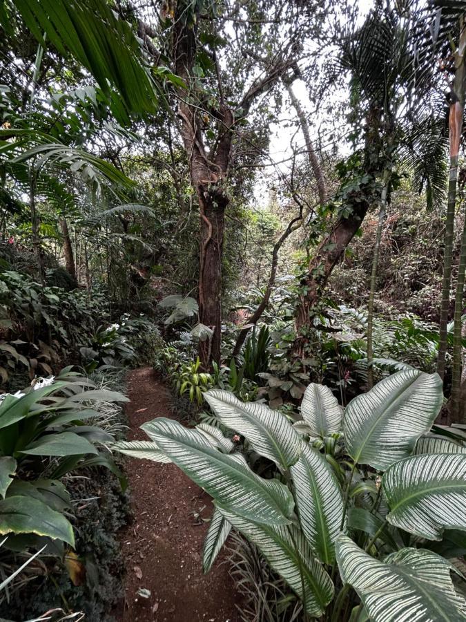 Cabana En Alajuela En Lugar Tranquilo Y Con Mucha Naturaleza. Tambor  Exteriér fotografie