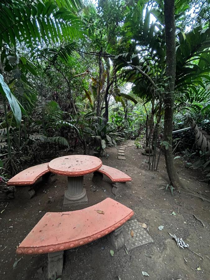 Cabana En Alajuela En Lugar Tranquilo Y Con Mucha Naturaleza. Tambor  Exteriér fotografie