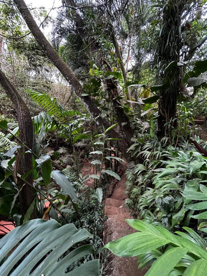 Cabana En Alajuela En Lugar Tranquilo Y Con Mucha Naturaleza. Tambor  Exteriér fotografie