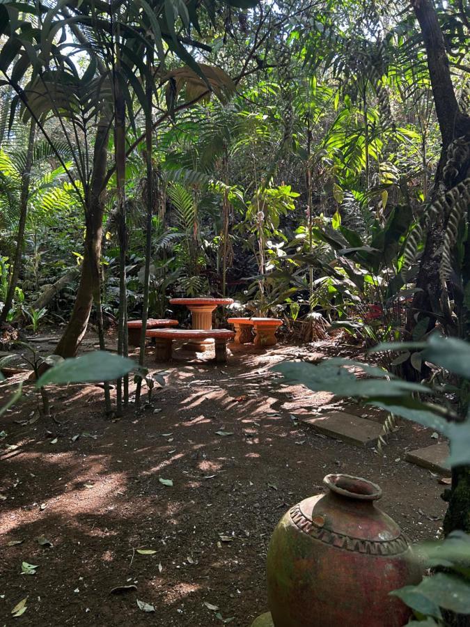 Cabana En Alajuela En Lugar Tranquilo Y Con Mucha Naturaleza. Tambor  Exteriér fotografie