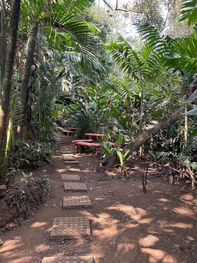 Cabana En Alajuela En Lugar Tranquilo Y Con Mucha Naturaleza. Tambor  Exteriér fotografie